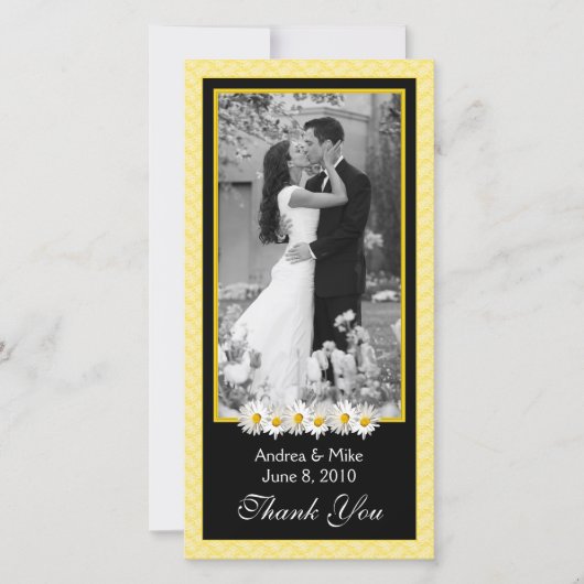 Shasta Daisy Jaune Mariage noir Merci (Devant)