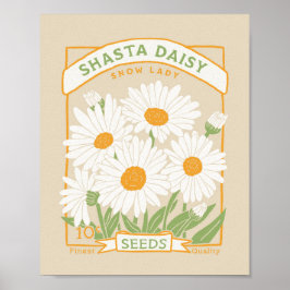 Shasta Daisy Poster