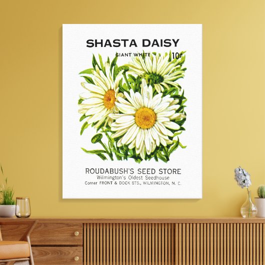 Shasta Daisy  Seed Packet Canvas Afdruk (Insitu (Woonkamer))
