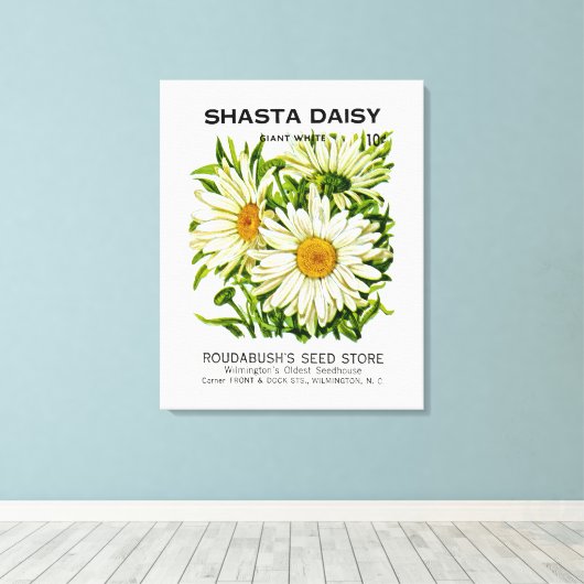 Shasta Daisy  Seed Packet Canvas Afdruk (Insitu (Houten vloer))