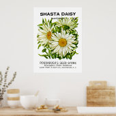 Shasta Daisy  Seed Packet Poster (Keuken)
