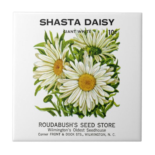 Shasta Daisy  Seed Packet Tegeltje (Voorkant)