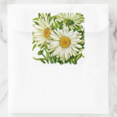 Shasta Daisy  Seed Packet Vierkante Sticker (Tas)