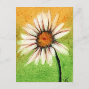 Shasta Daisy V Briefkaarten