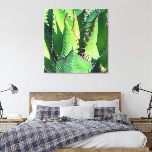 Shaw's Agave Canvas Afdruk (Insitu (Slaapkamer))
