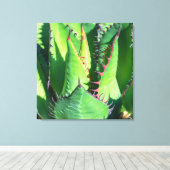 Shaw's Agave Canvas Afdruk (Insitu (Houten vloer))