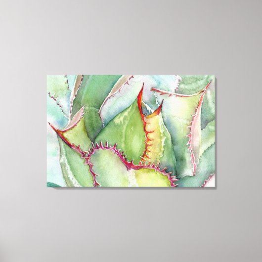 Shaw's Agave Canvas Print (Voorkant)