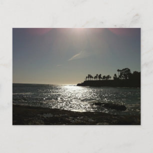 Shaw's Cove Briefkaart