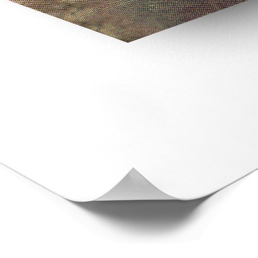 She-Devil by Harry Hervey Poster (Coin)