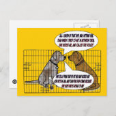 She Kicked Briefkaart (Voorkant / Achterkant)