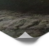 Shea's Buffalo Poster (Hoek)