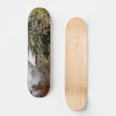 Shed Abandoned Skateboard (Voorkant)