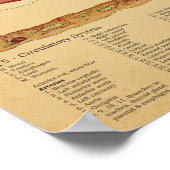 Sheep Anatomy Atlas Chart Poster (Hoek)