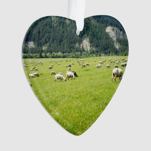 Sheep Boerderij Shepherd Dated Photo Custom Ornament (voorkant)