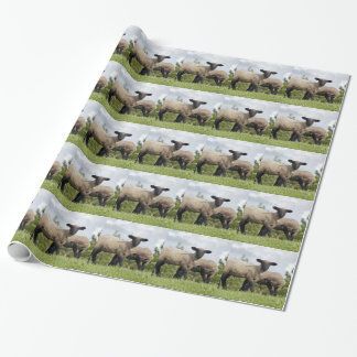 sheep cadeaupapier