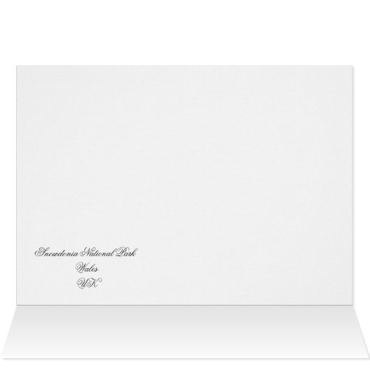 SHEEP CARD (Intérieur Horizontal (Haut))