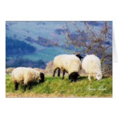 SHEEP CARD (Devant horizontal)