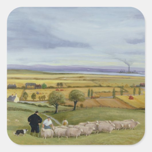 Sheep Farmer Isle of Sheppey Vierkante Sticker (Voorkant)