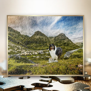 Sheep Herding Tricolor Rough Collie in Highlands - Legpuzzel