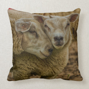 sheep kussen
