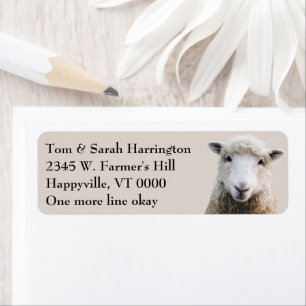 Sheep Lamb Farm Animals Etiket