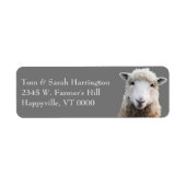 Sheep Lamb Farm Animals Label (Voorkant)