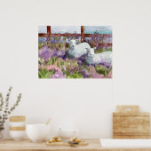 Sheep Lavender Fields Boerderij Animal Lambs Poster (Keuken)