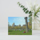 Sheep Meadow, Central Park, NYC Briefkaart (Staand voorkant)