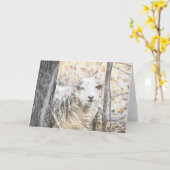 Sheep Note-Kaart Kaart (Gele Bloem)