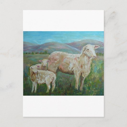 Sheep Pinting Briefkaart (Voorkant)
