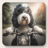 Sheepadoodle Biker Onderzetters (Voorkant)