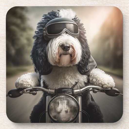 Sheepadoodle Biker Onderzetters (Voorkant)