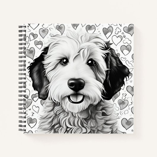 Sheepadoodle Carnet de chiot (Devant)