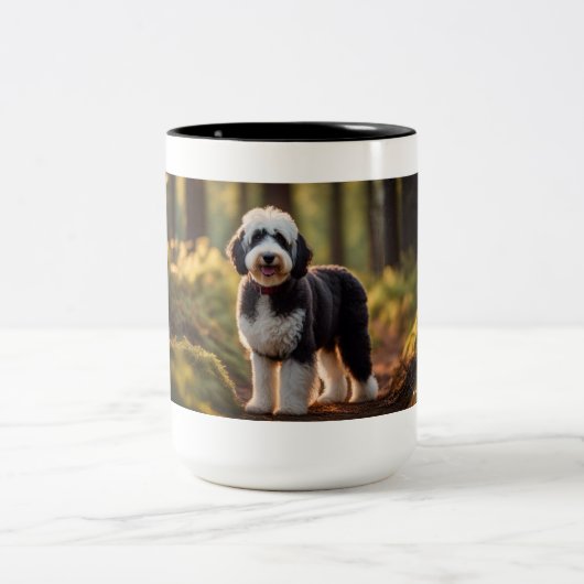 Sheepadoodle in bos Mok (Center)