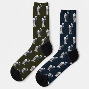 Sheepadoodle Met Blauwe Geruite Sjaal Sokken