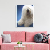 Sheepdog Canvas Afdruk (Insitu (Woonkamer))