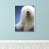 Sheepdog Canvas Afdruk (Insitu (Houten vloer))