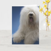Sheepdog Kaart (Gele Bloem)