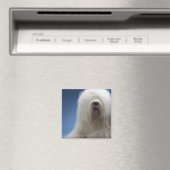 Sheepdog Magneet (Insitu (Vaatwasser))