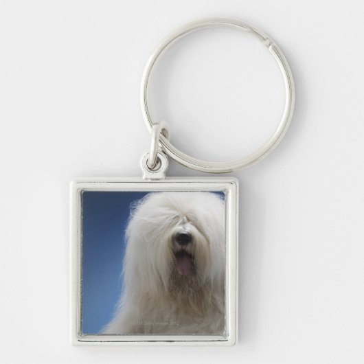 Sheepdog Sleutelhanger (Voorkant)