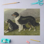  Sheepdogs Weefpapier Tissuepapier (Craft)