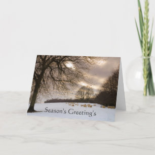 Sheeps Feestdagen Kaart