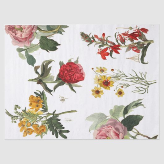 Sheet voor de ontkoppeling van plattegronden tissuepapier (Voorkant)