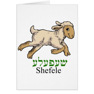 "Shefeleh"-lammeren