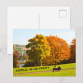 Sheffield Verenigd Koninkrijk - Park Briefkaart (Voorkant / Achterkant)