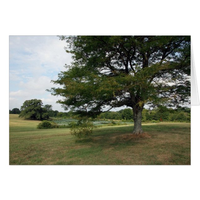 Shelby Boerderijen (Voorkant Horizontaal)