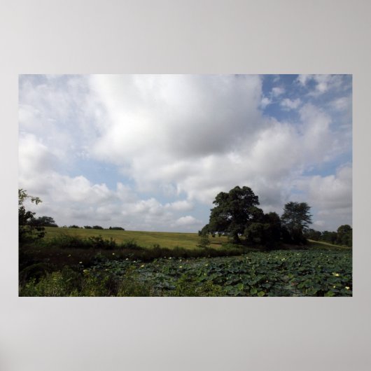 Shelby Boerderijen Poster (Voorkant)