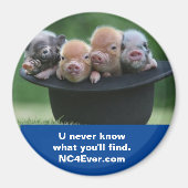 Shelby NC magneet (Voorkant)