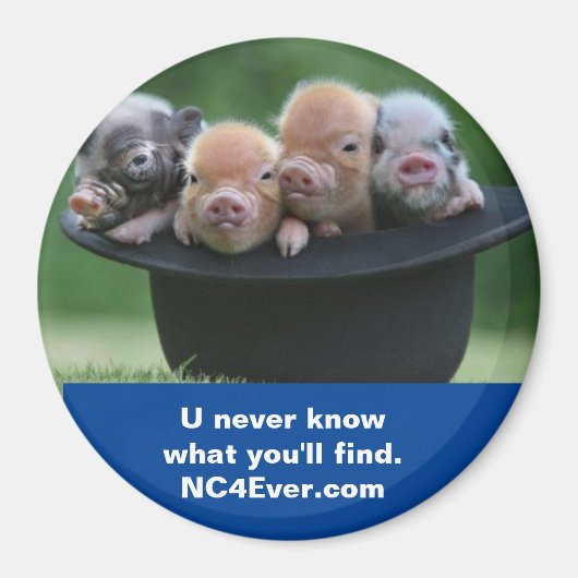 Shelby NC magneet (Voorkant)