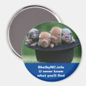 Shelby NC magneet (Voorkant / Achterkant)